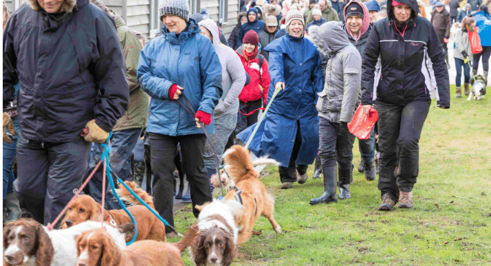 Dogs and their owners take a stroll for life-saving Charity